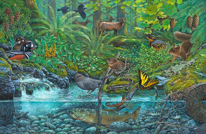 Painting of a Pacific Coast Rainforest by John D. Dawson