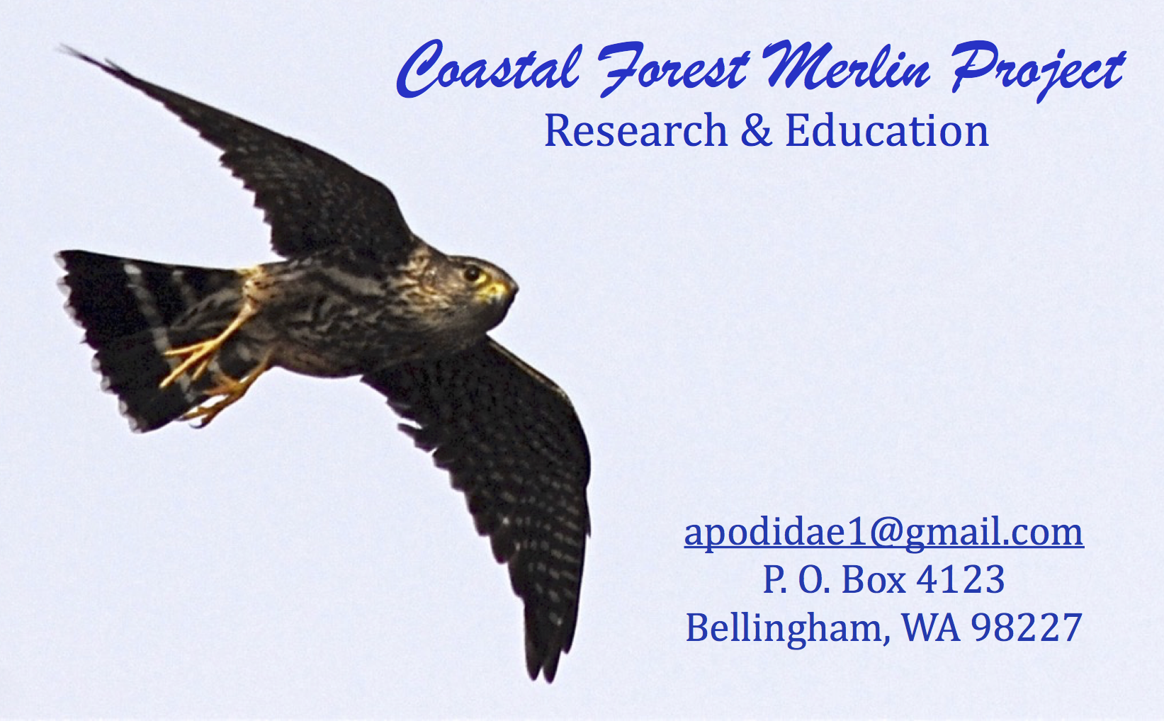 Image of a Merlin Falcon with CFMP logo