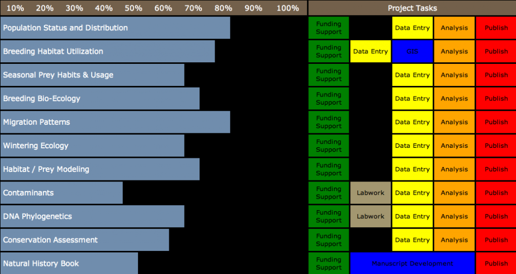 Progress Chart